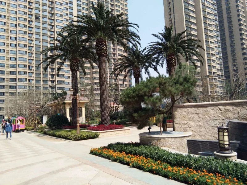 北京恒大(dà)左岸